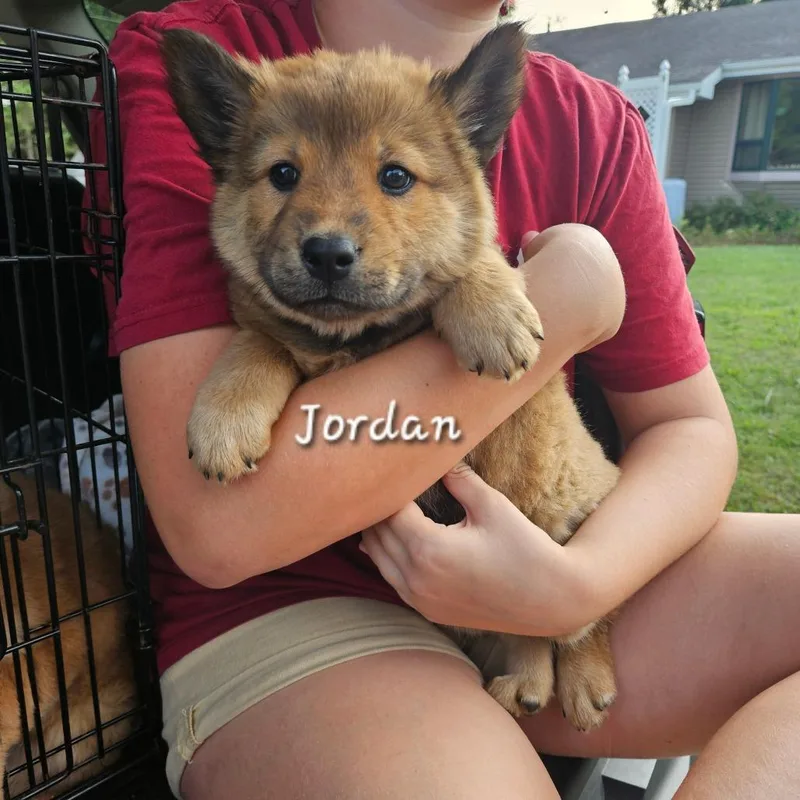 Jordan