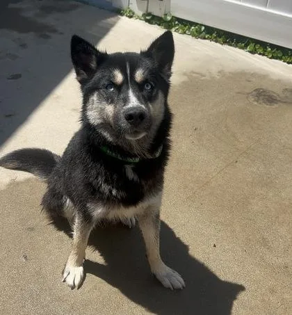 Skye