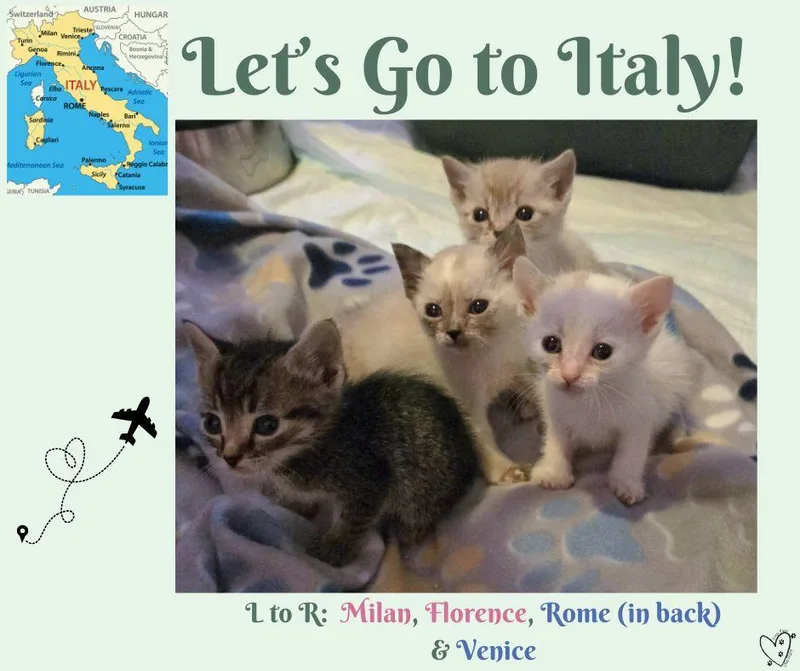 Rome thumbnail 6