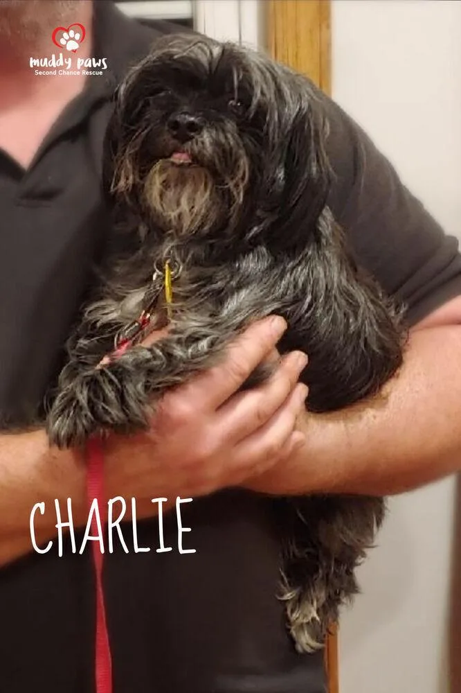 Charlie
