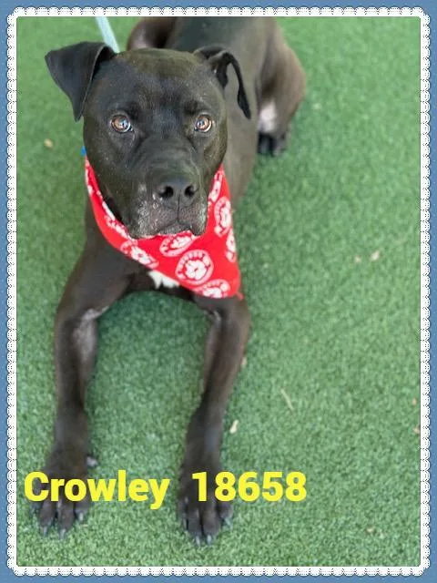 Crowley