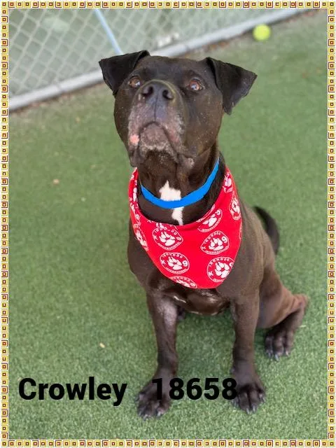 Crowley thumbnail 2