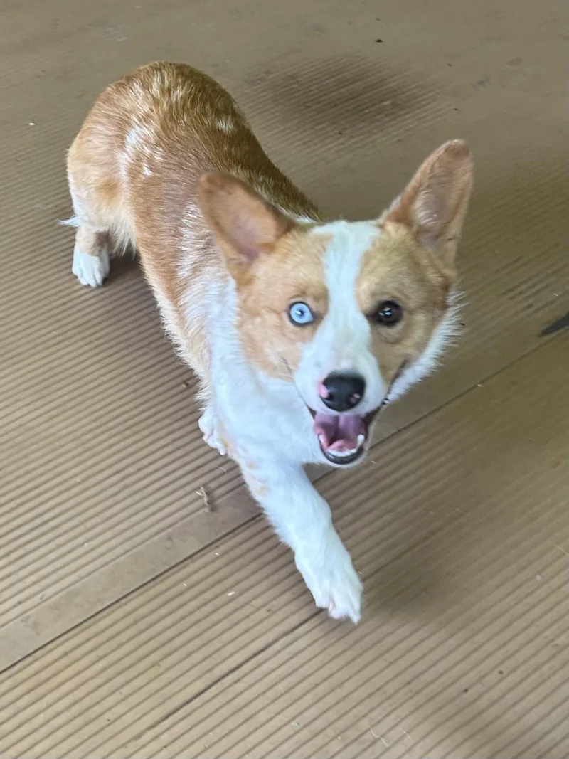Sam