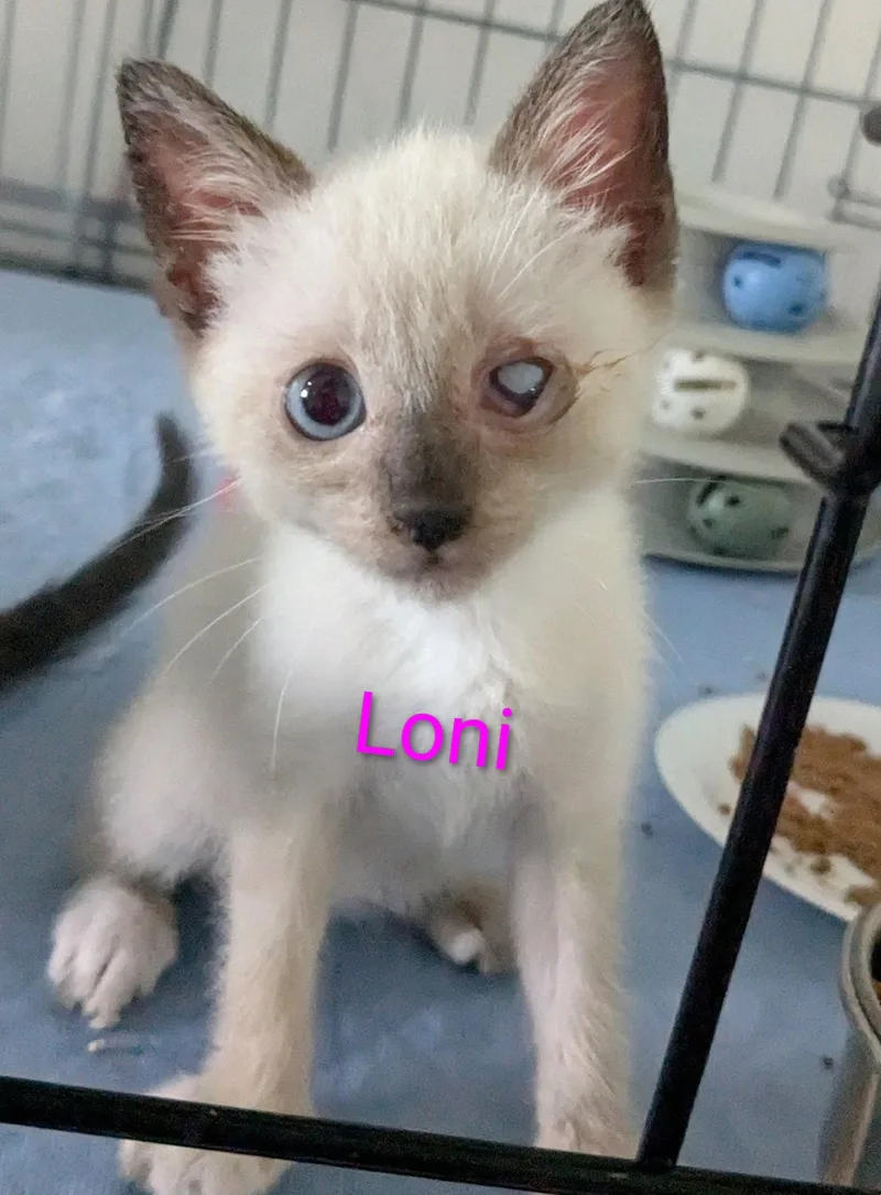 Loni thumbnail 2