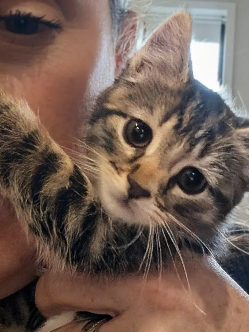 Mochi thumbnail 3