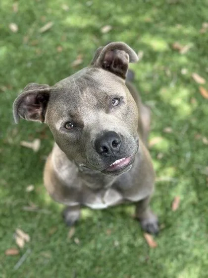 Deuce