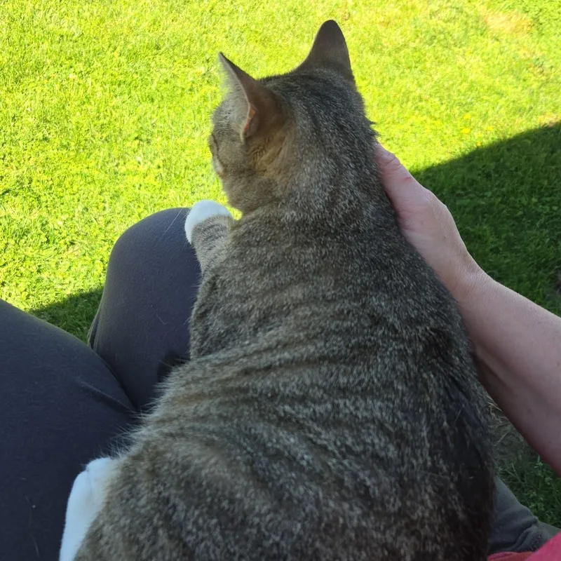 Laila Ali thumbnail 5