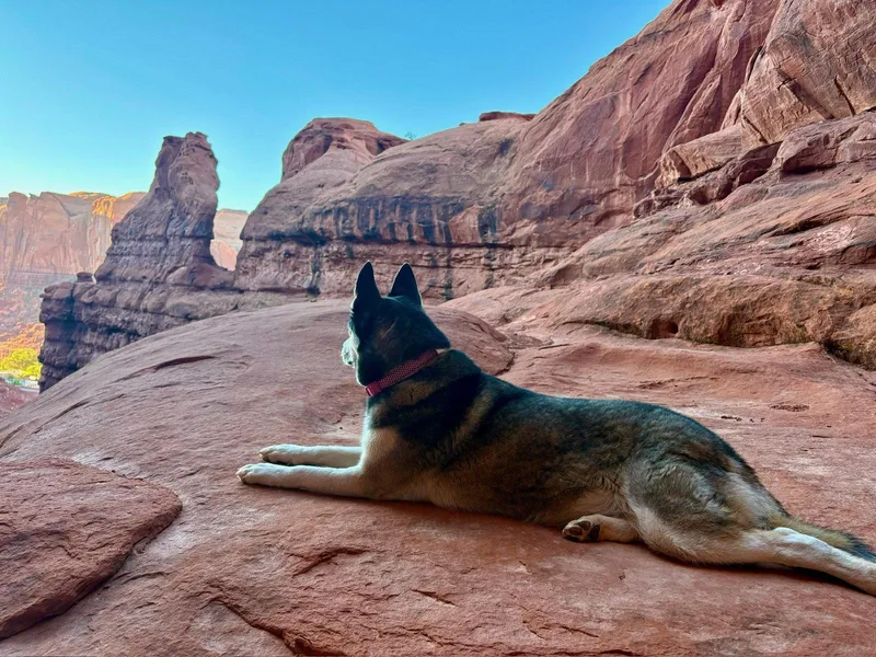 Skye La Paz thumbnail 2