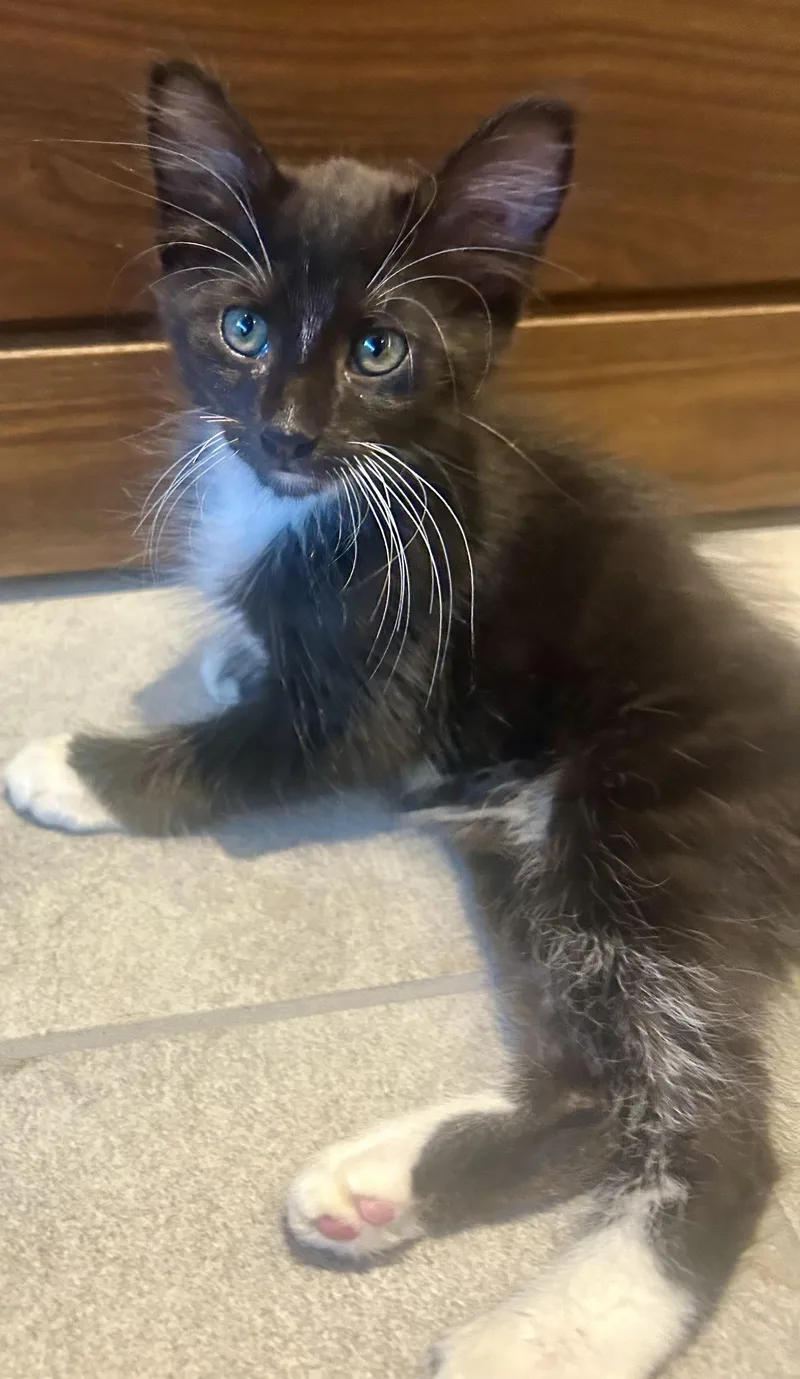 Java