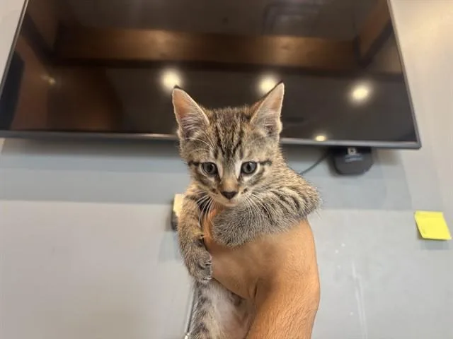 Winnie