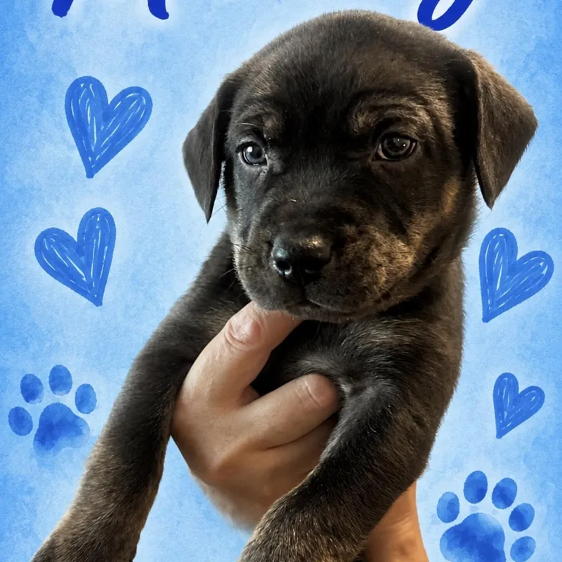 Mr. Big thumbnail 2