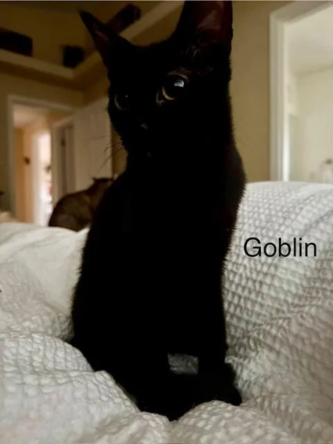 Goblin thumbnail 2