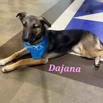 Dajana thumbnail 4
