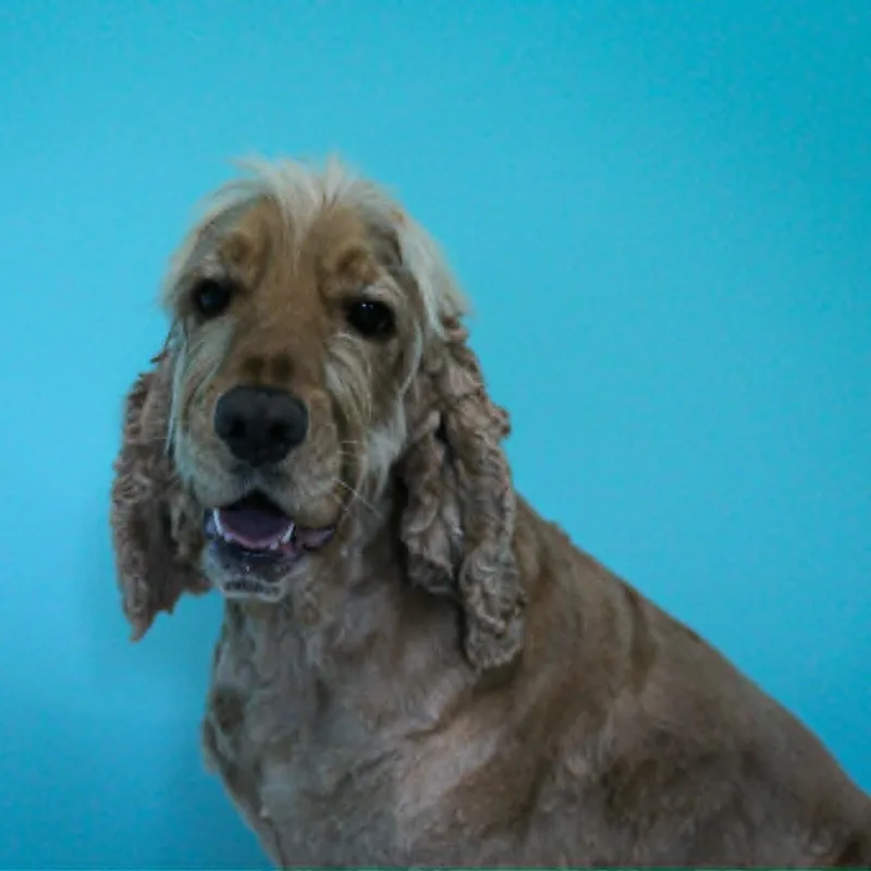 Sam