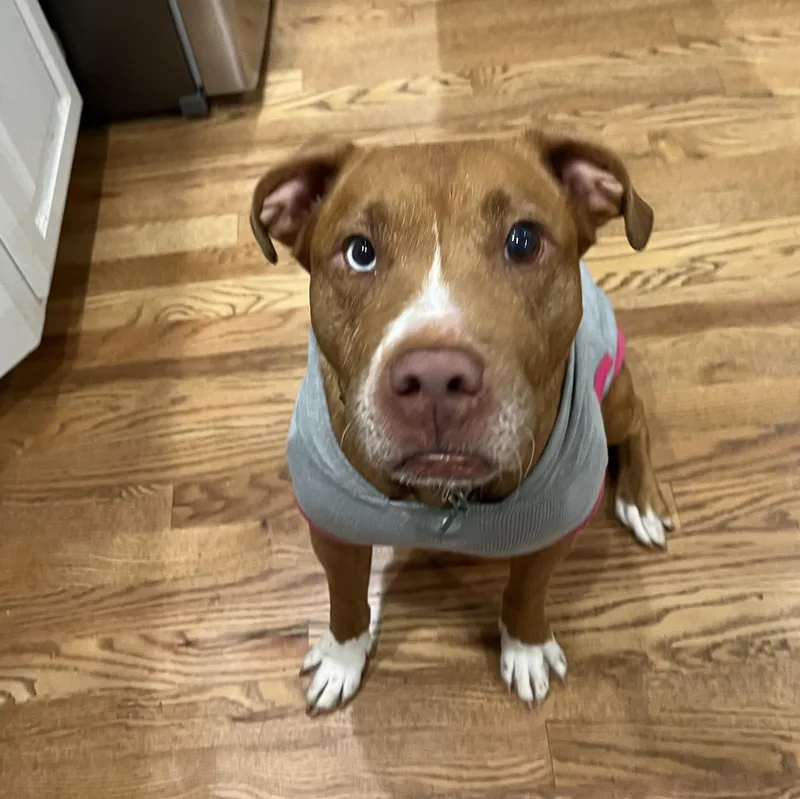 Penelope thumbnail 2