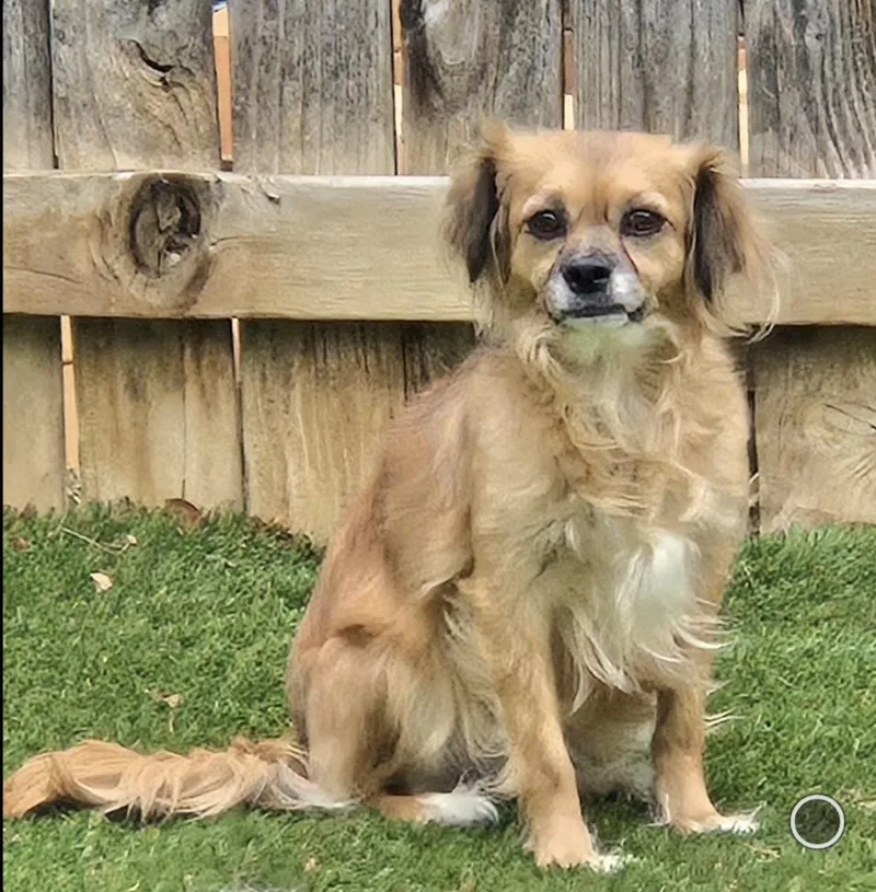 Momma Pepper thumbnail 2