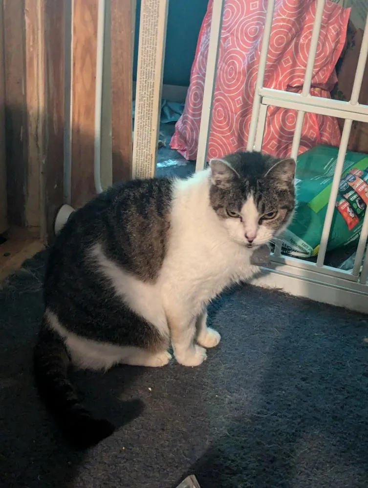 Serendipity thumbnail 3