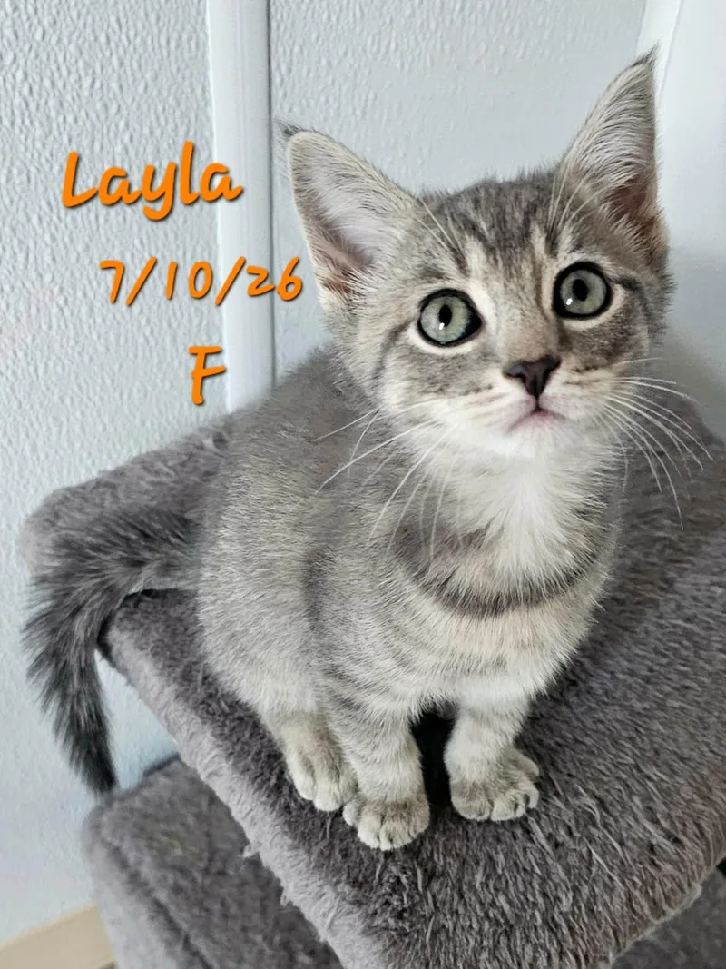 Lily and Layla thumbnail 2