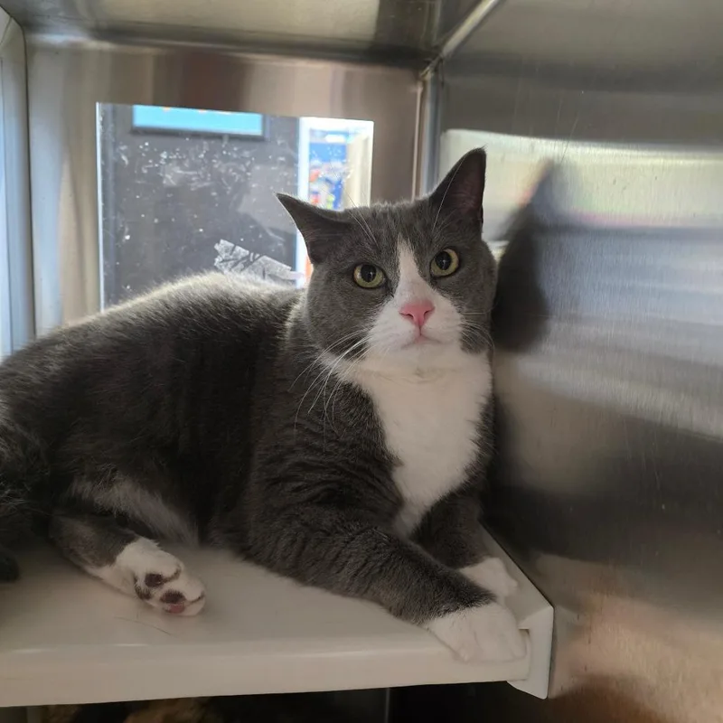 Patricia thumbnail 3