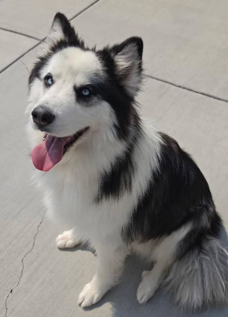 Po thumbnail 2