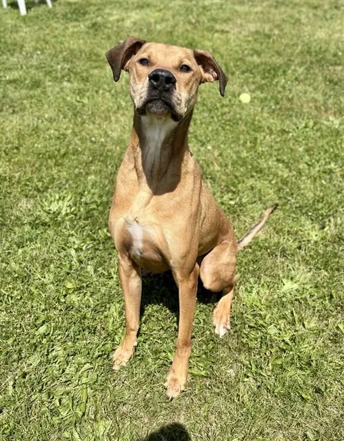 Murphy