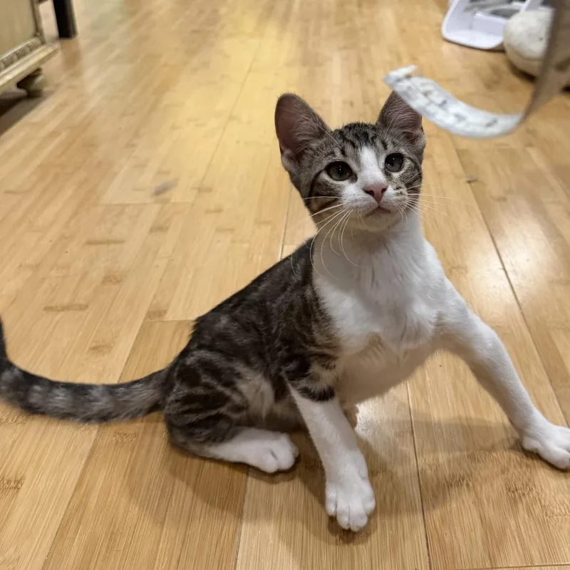 Mcflurry thumbnail 3