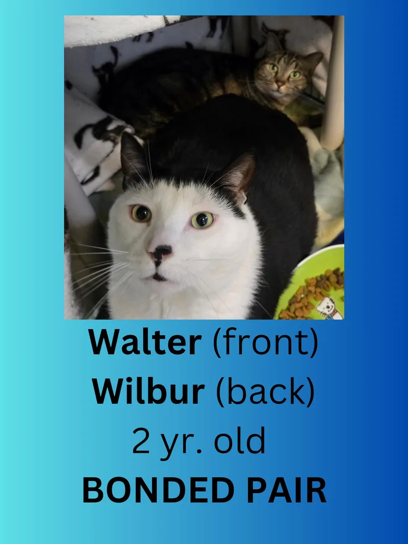 Walter & Wilbur