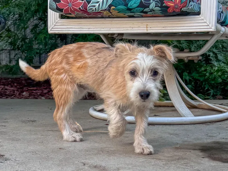 Baby Tizzy thumbnail 2