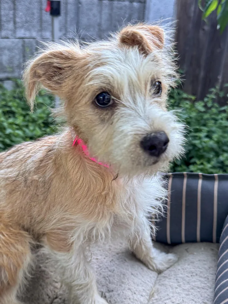 Baby Tizzy thumbnail 3