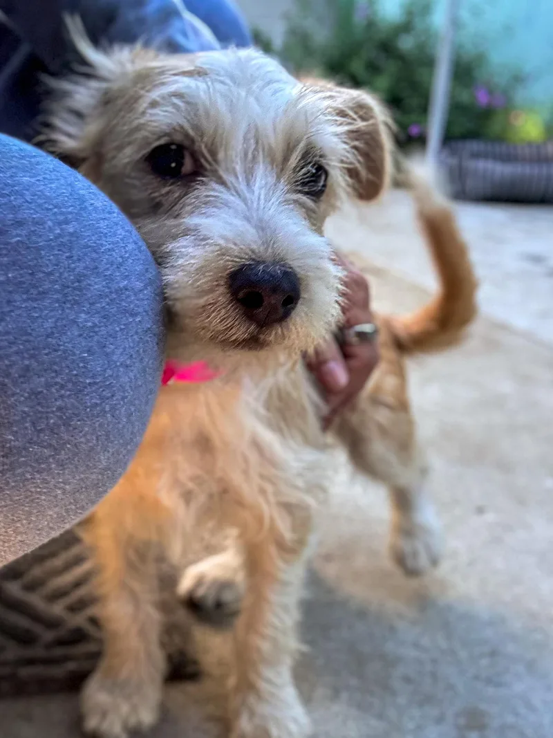 Baby Tizzy thumbnail 4