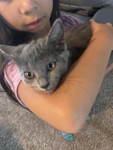 Sweetie & Sharpie