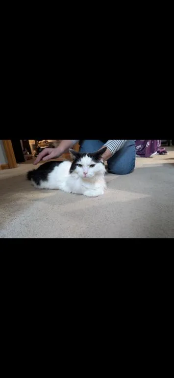 Munchkin thumbnail 2