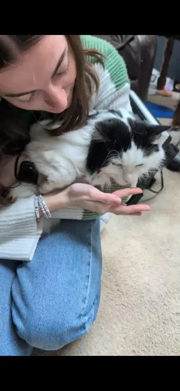 Munchkin thumbnail 5