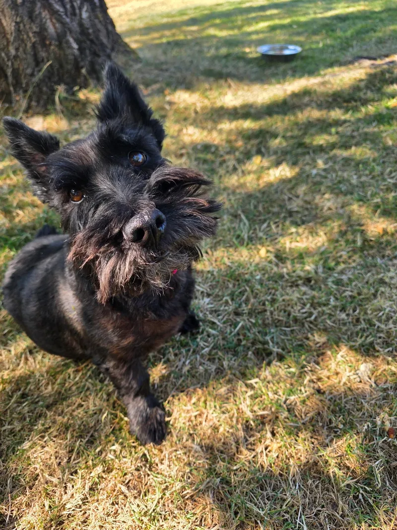Zoey