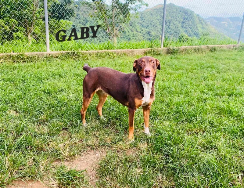 Gaby thumbnail 2