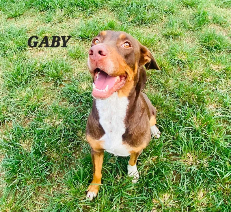 Gaby thumbnail 3
