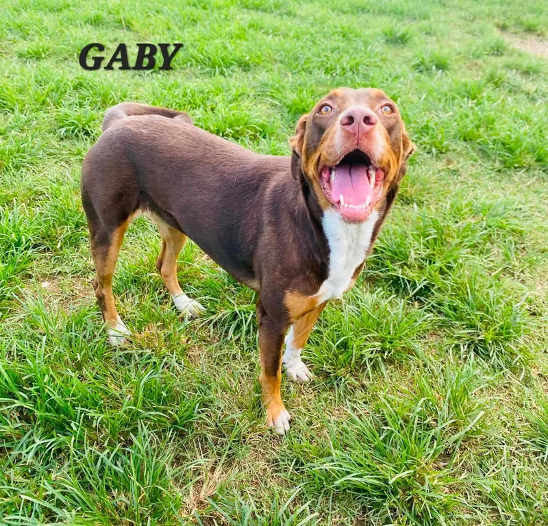 Gaby thumbnail 4