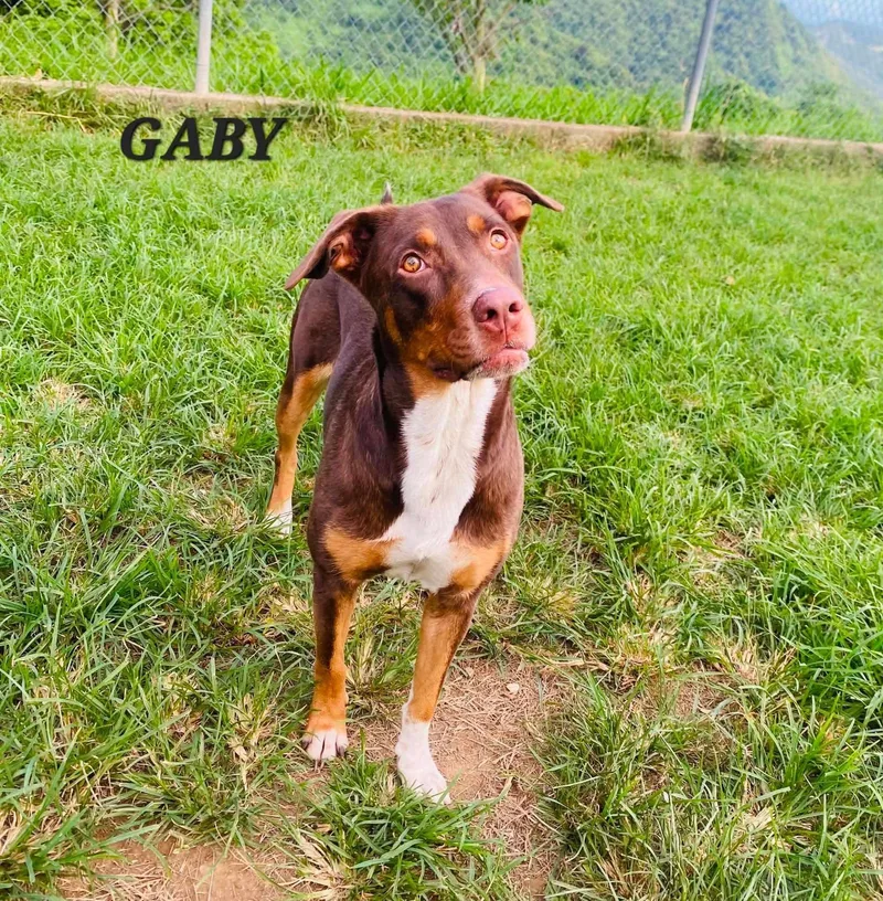 Gaby thumbnail 5