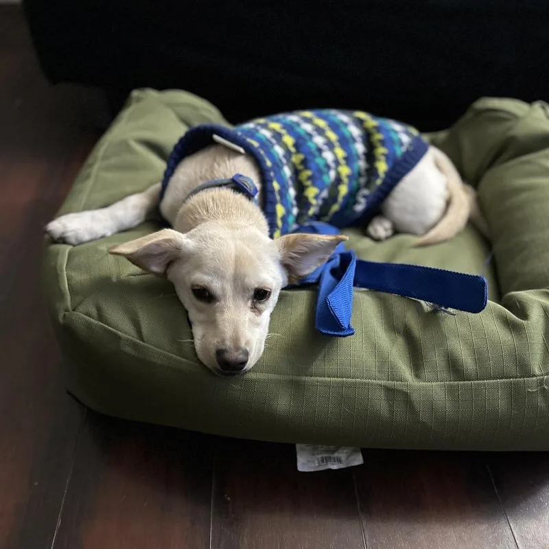 Milo  Home To thumbnail 2