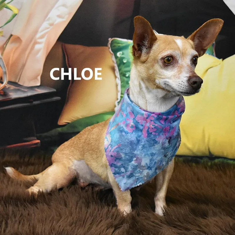 Chloe