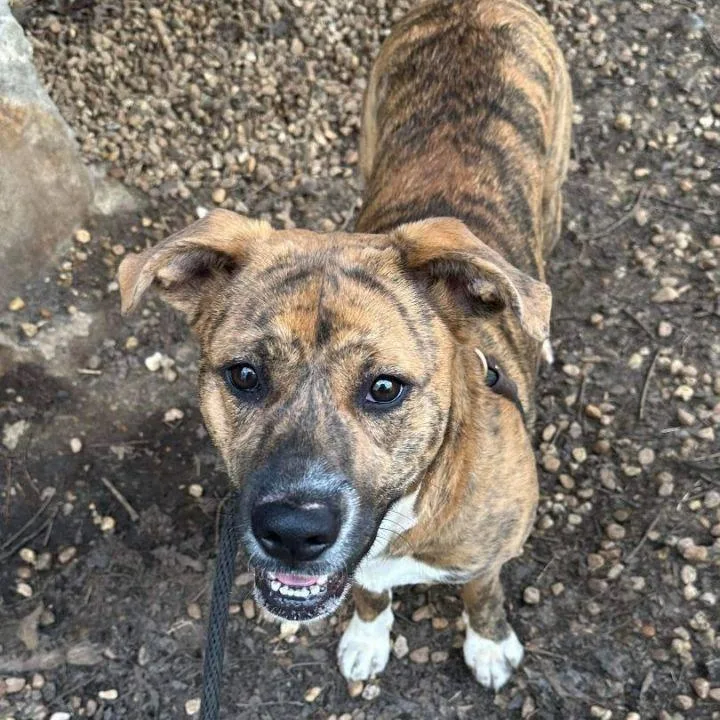 Regan Barkville thumbnail 2