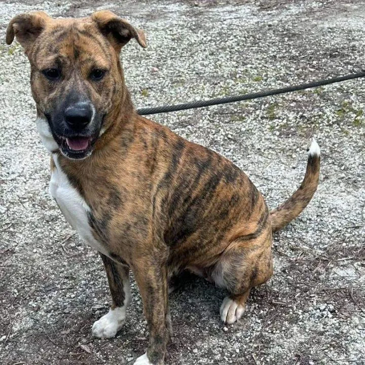 Regan Barkville thumbnail 3