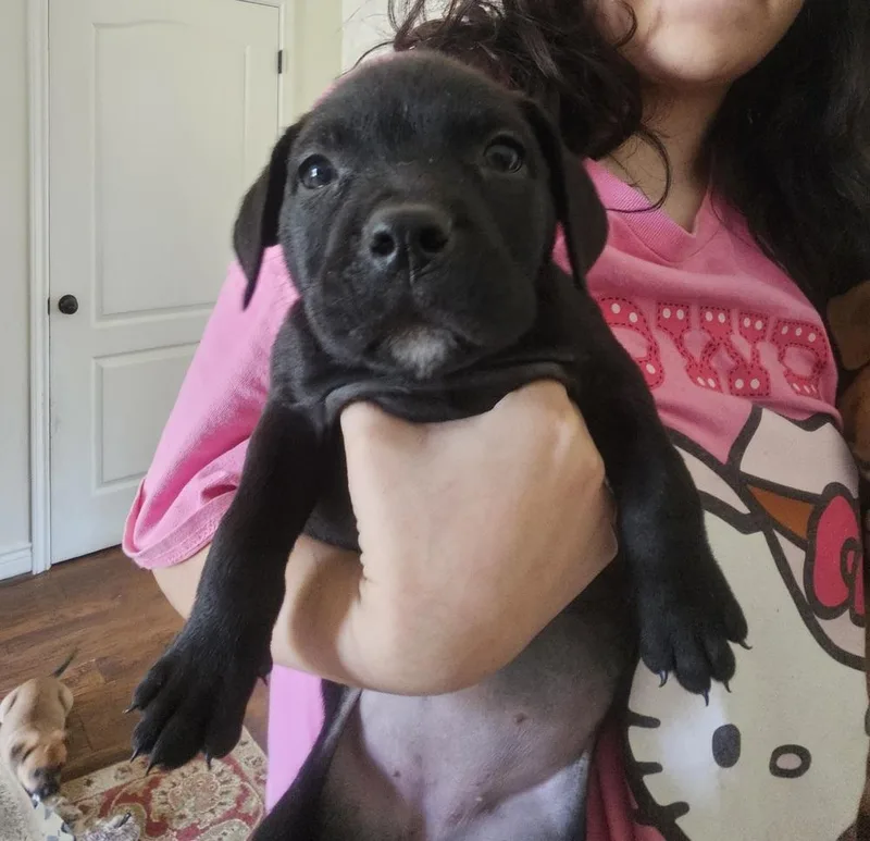 Georgia thumbnail 2