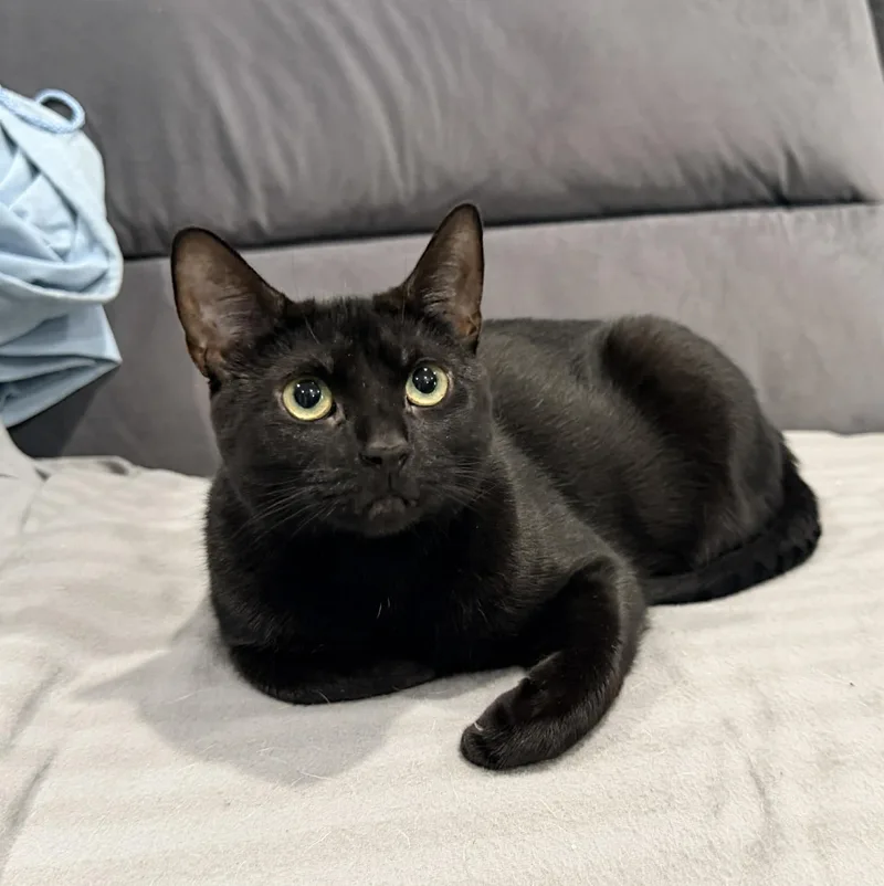 Lorraine thumbnail 2