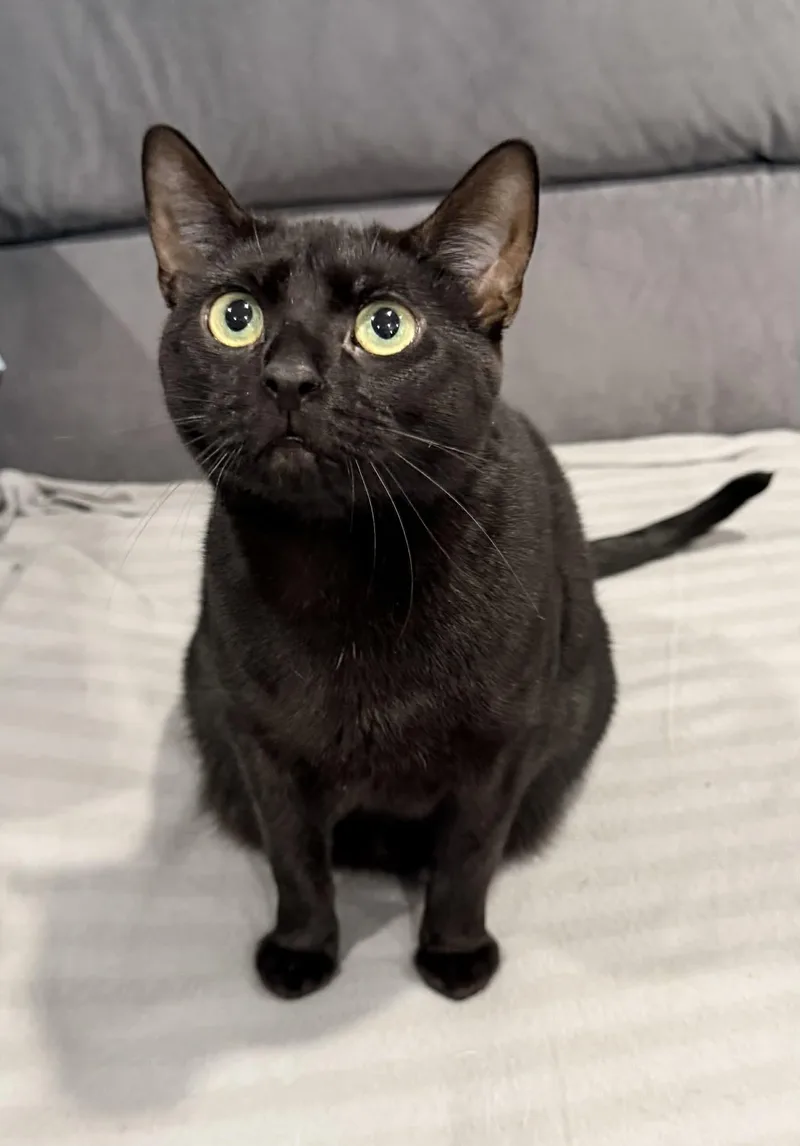 Lorraine thumbnail 3