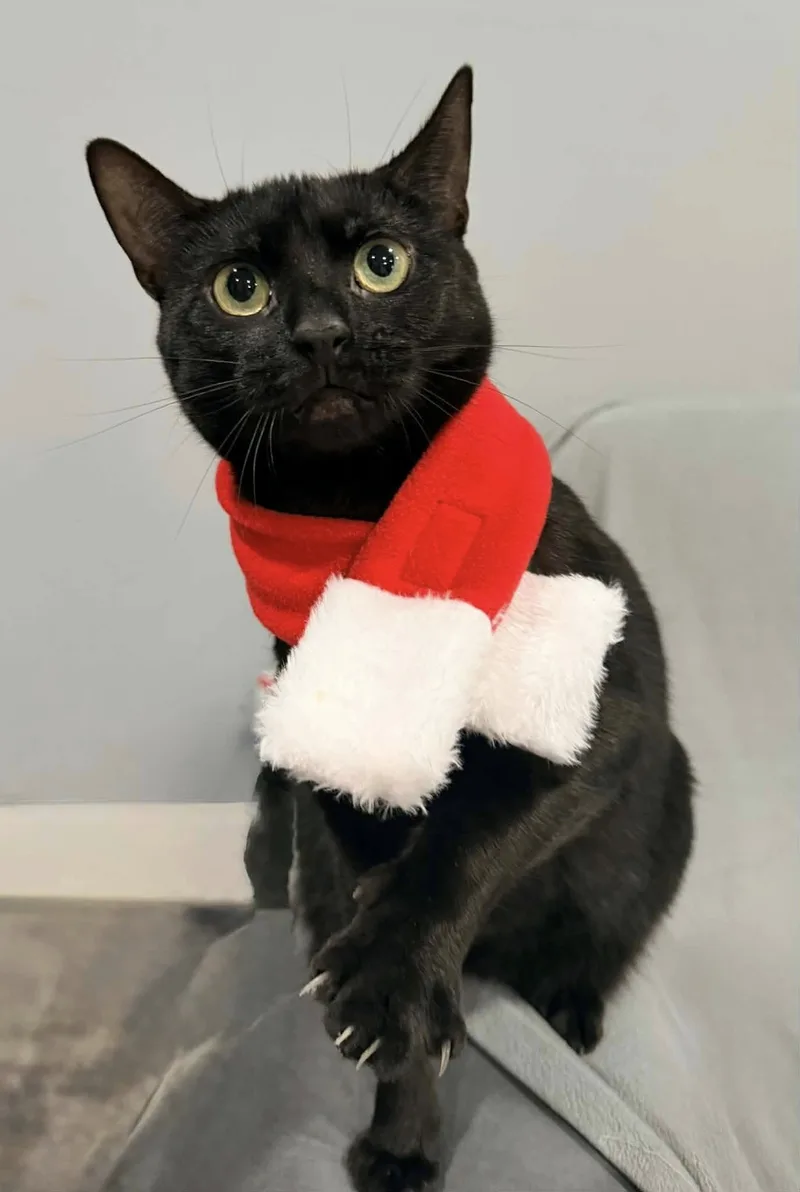 Lorraine thumbnail 4