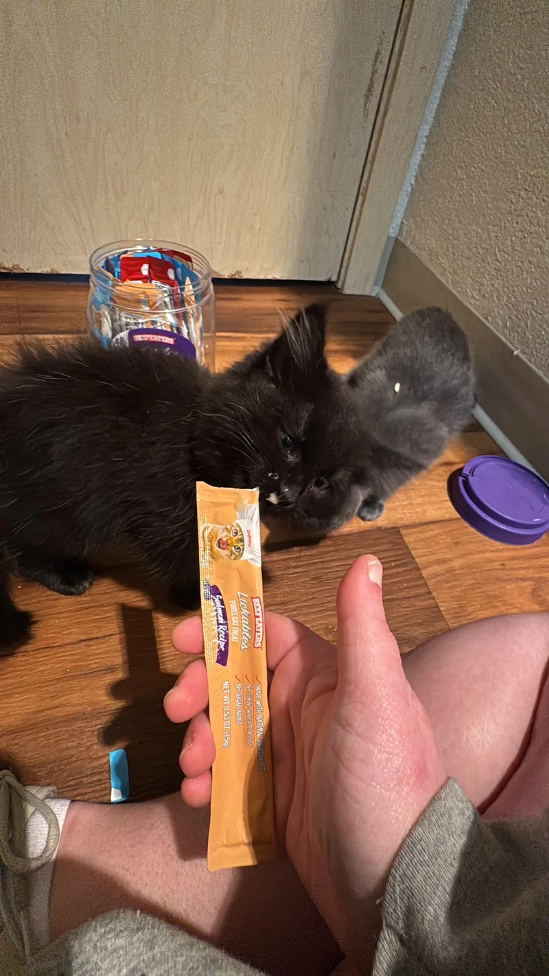 Uno And Cuatro thumbnail 5