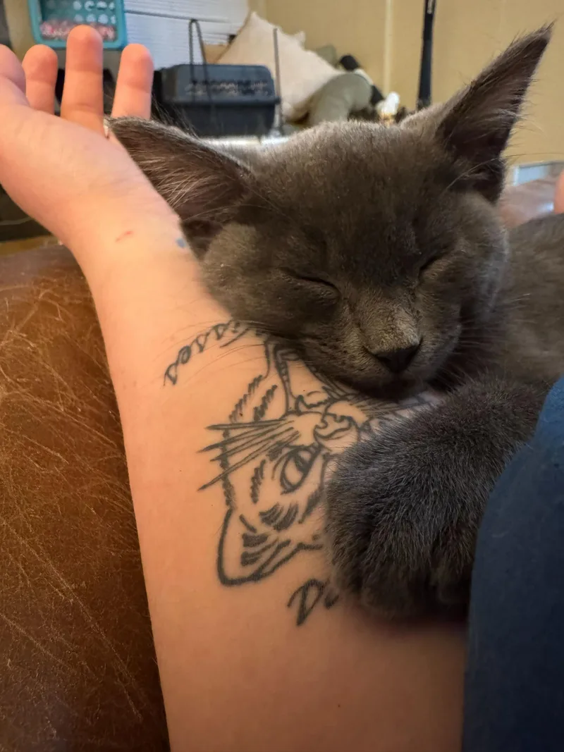 Uno And Cuatro thumbnail 6