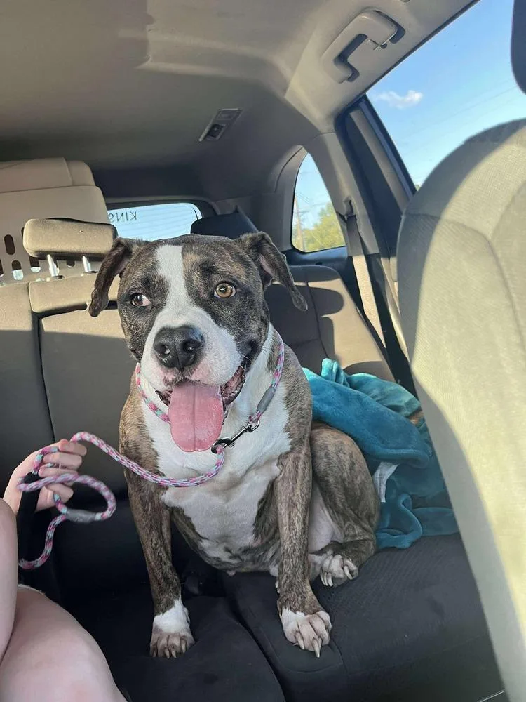 Westin A 🇨🇦 💜