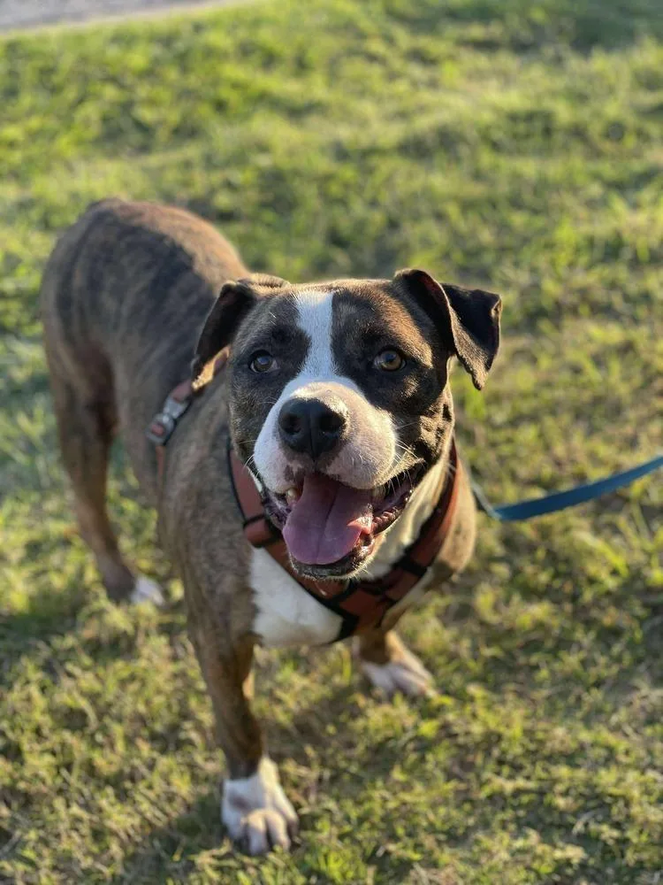 Westin A 🇨🇦 💜 thumbnail 2